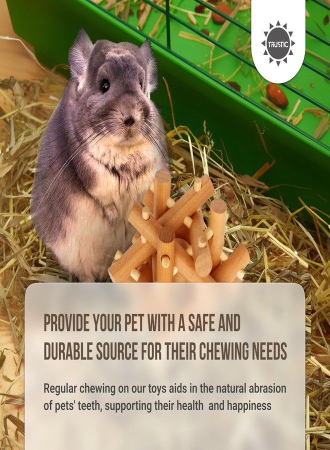 Trustic Wooden Chewing Toy for Small Animals, Natural Wood for Rabbit, Guinea Pig, Bunny, Chinchilla (Colorless) - Image 5